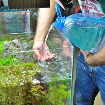 Якою повинна бути температура в акваріумі для рибок? 22 фото Оптимальна температура води. Як знизити її до потрібного градуса і підтримувати? Як визначити температуру акваріумним градусником?