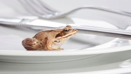«З’їсти жабу» в тайм-менеджменті: що означає метод «з’їсти жабу з ранку на сніданок? Принцип методу