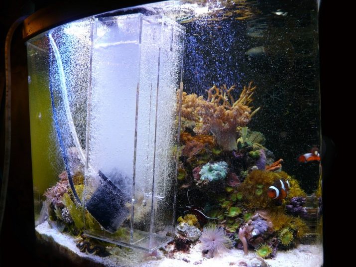 Заглибна помпа для акваріума (11 фото): вибір внутрішній акваріумний помпи потужністю 12 вольт