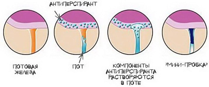 Жіночі дезодоранти Nivea: кульковий антиперспірант «Чорне і біле», новий невидимий спрей « Ефект пудри»