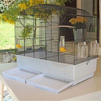 Зміст канарки (25 фото): правила догляду в домашніх умовах. Як доглядати за пташенятами при розведенні? Чим годувати?