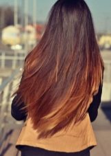 Золотисто-мідний колір волосся (39 фото): світло-русявий і темно-русявий золотий колір з мідним відтінком, інші варіанти. Кому йде такий колір?