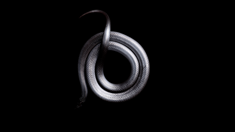 Сниться гадюка: що означає в соннику вбити чорних змій уві сні