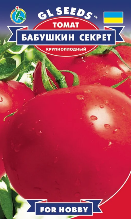 помідори вирощування