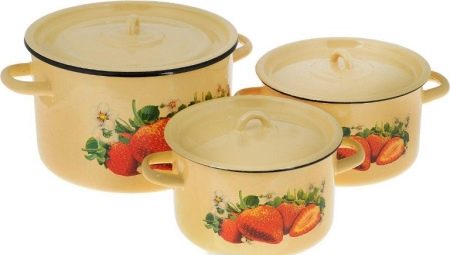 Набори емальованих каструль: опис наборів зі скляною кришкою, з чайником і інших варіантів, правила вибору посуду